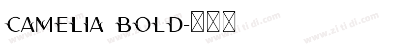 Camelia Bold字体转换 Camelia Bold字体转换